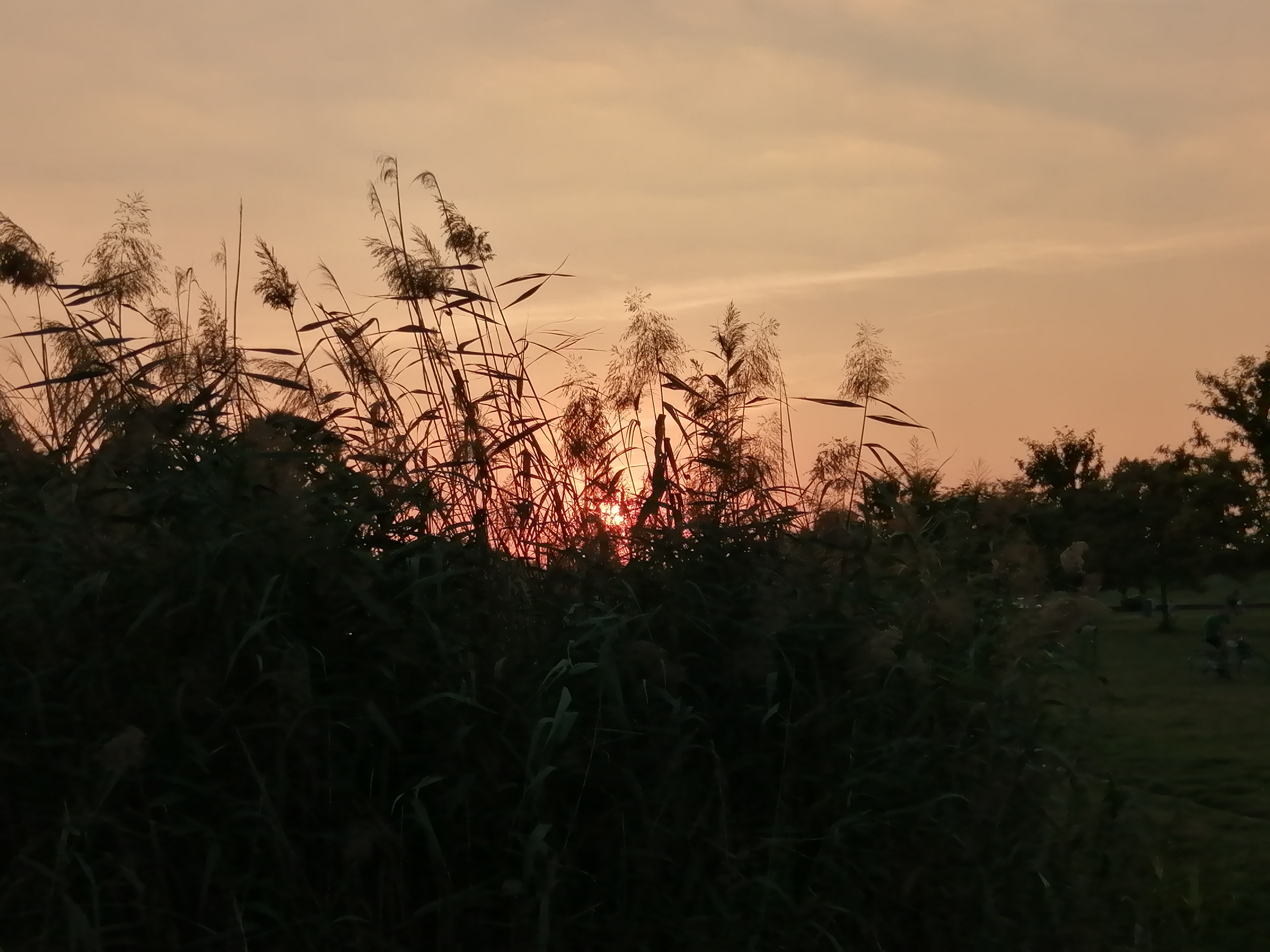 Tramonto al Parco Nord. Foto di Cinzia Barbara Possenti