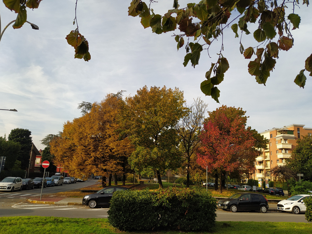 Un altro spazio verde - Foto di Renato Ferri