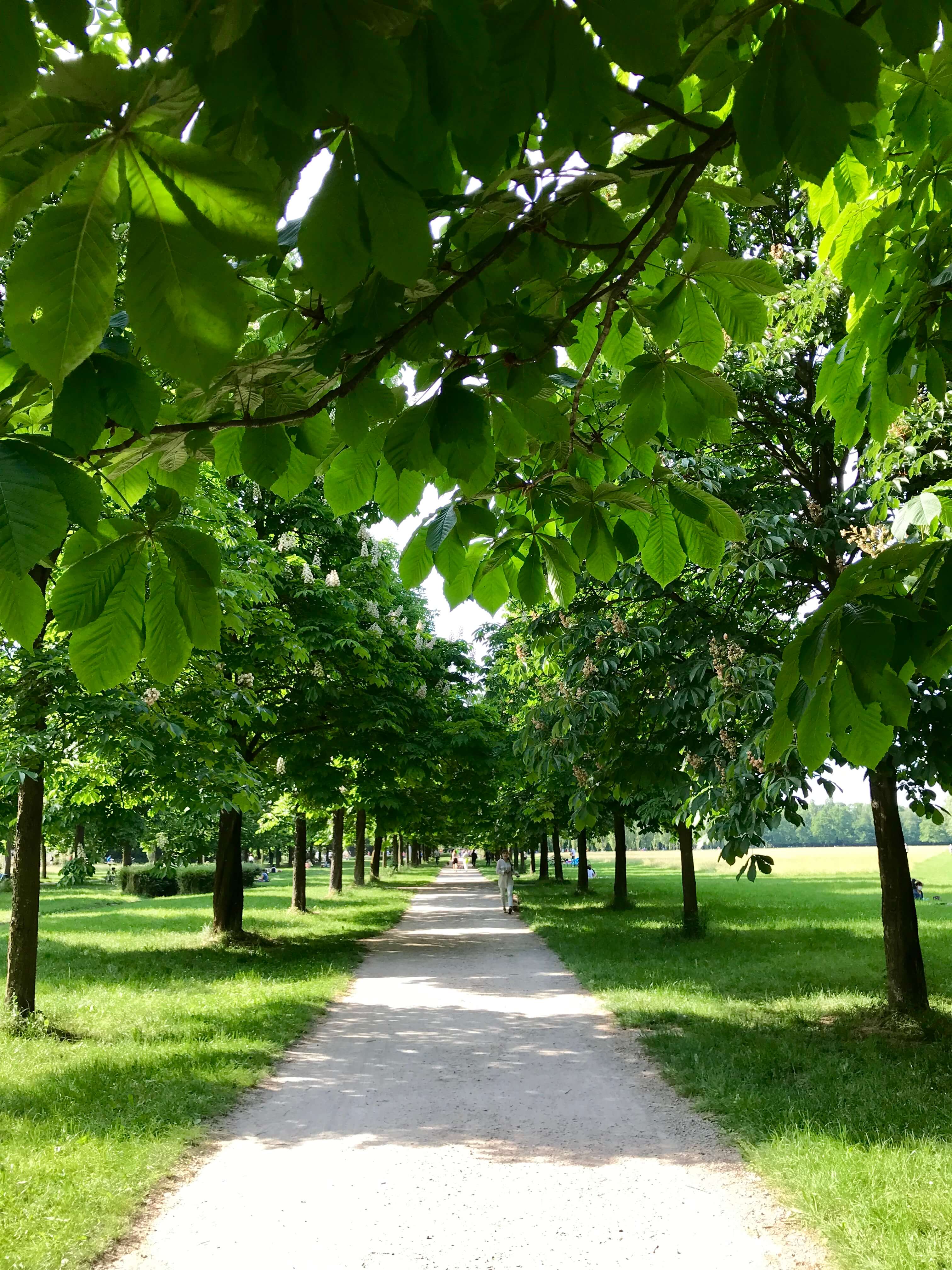 Verde speranza, parco Nord. Foto di Annalisa Bonafede