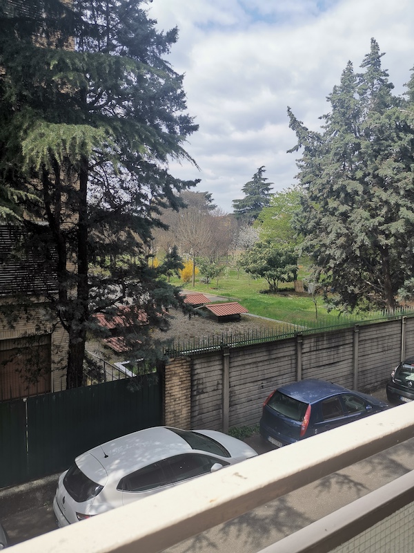 Verde speranza. Mentre tutto si è fermato, la natura ha proseguito il suo cammino. I fiori sono sbocciati, ci sono colori ovunque e, presto, goderemo, nuovamente, di questa bellezza. Foto di Francesca Cherubini