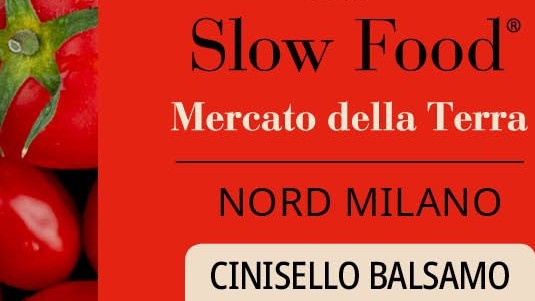 Mercato della terra