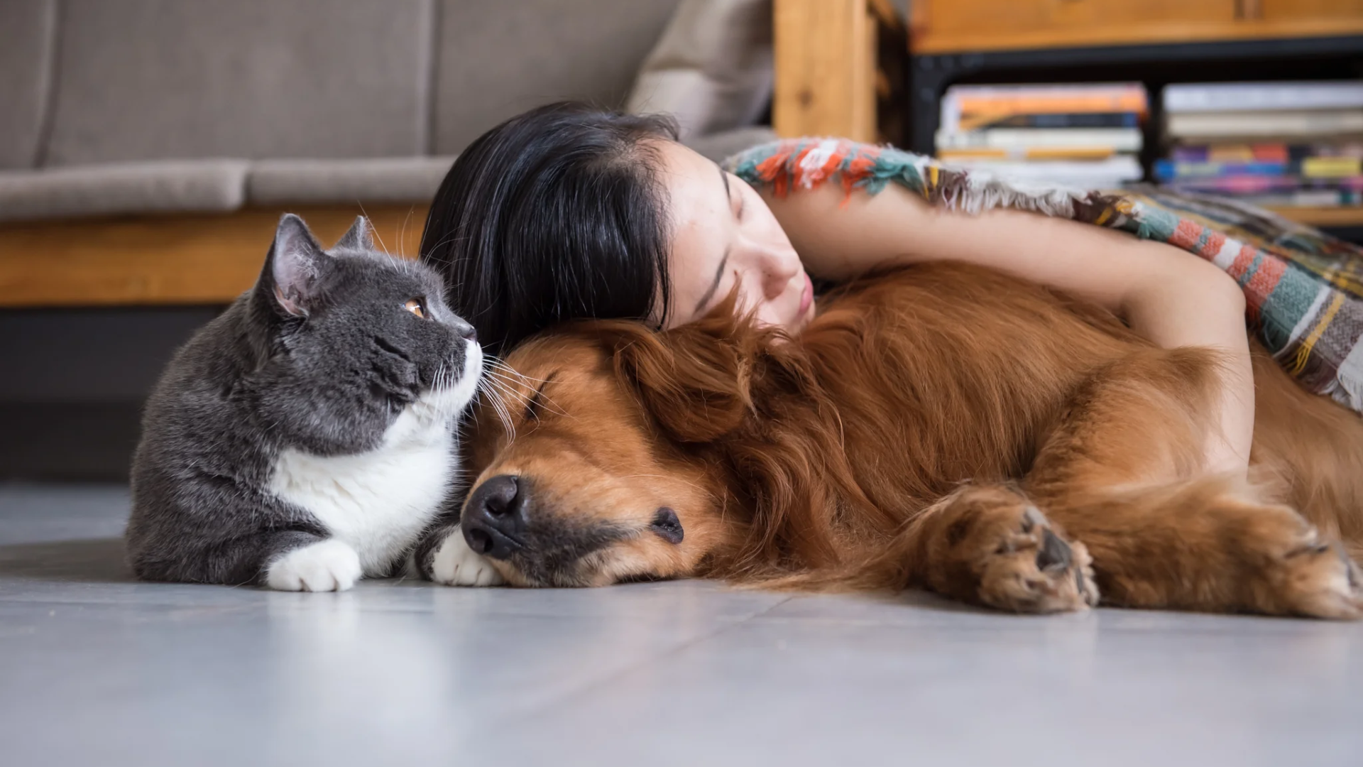 Comprendere il linguaggio di cani e gatti